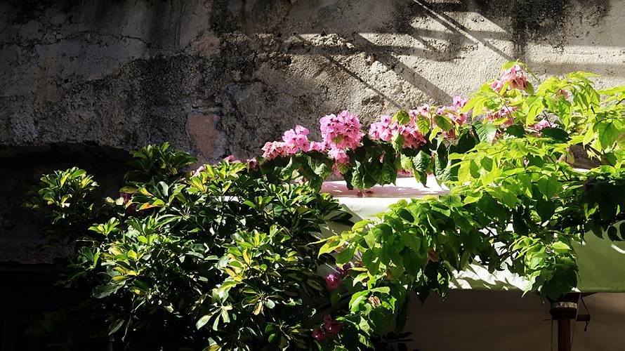 03-limone sul garda_09